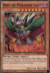 Uccello del Paradiso Perduto