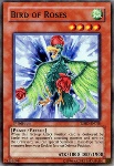 Uccello delle Rose