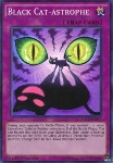 Catastrofe del Gatto Nero