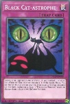 Catastrofe del Gatto Nero