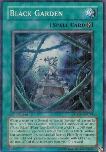 /products/ygo/bla/black-garden/crossroads-of-chaos-black-garden-108438.jpg