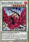 Drago Rosa Nera