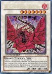 Drago Rosa Nera