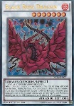 Drago Rosa Nera