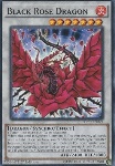 Drago Rosa Nera