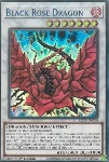 Drago Rosa Nera