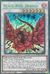 Drago Rosa Nera