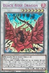 Drago Rosa Nera