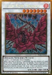 Drago Rosa Nera