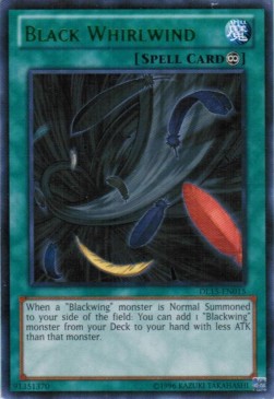 /products/ygo/bla/black-whirlwind/duelist-league-15-black-whirlwind-260269.jpg
