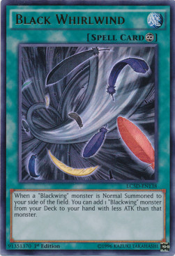 /products/ygo/bla/black-whirlwind/legendary-collection-5ds-mega-pack-black-whirlwind-270308.jpg