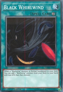 /products/ygo/bla/black-whirlwind/legendary-duelists-white-dragon-abyss-black-whirlwind-364575.jpg