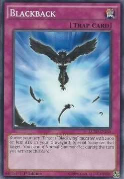 /products/ygo/bla/blackback/legendary-collection-5ds-mega-pack-blackback-270313.jpg