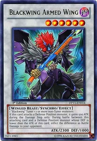 /products/ygo/bla/blackwing-armed-wing/duelist-pack-crow-blackwing-armed-wing-246693.jpg