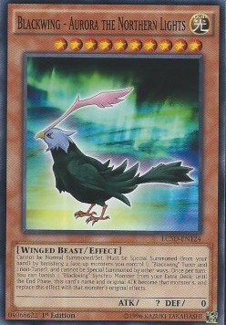 /products/ygo/bla/blackwing-aurora-the-northern-lights/legendary-collection-5ds-mega-pack-blackwing-aurora-the-northern-lights-270293.jpg