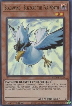 /products/ygo/bla/blackwing-blizzard-the-far-north/battles-of-legend-crystal-revenge-blackwing-blizzard-the-far-north-684303.jpg