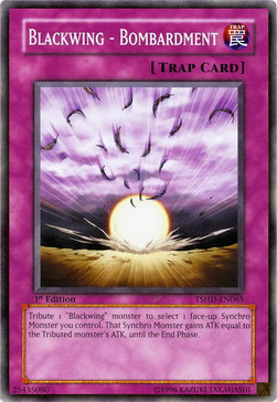 /products/ygo/bla/blackwing-bombardment/the-shining-darkness-blackwing-bombardment-241005.jpg