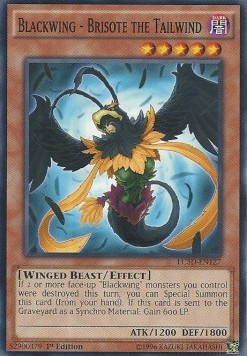 /products/ygo/bla/blackwing-brisote-the-tailwind/legendary-collection-5ds-mega-pack-blackwing-brisote-the-tailwind-270296.jpg