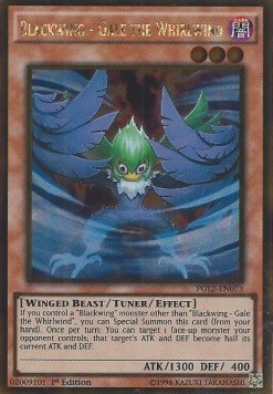 /products/ygo/bla/blackwing-gale-the-whirlwind/premium-gold-2-blackwing-gale-the-whirlwind-273512.jpg