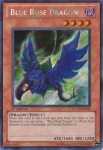 Drago Rosa Blu