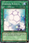 Rinascita del Bozzolo