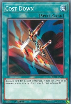 /products/ygo/cos/cost-down/speed-duel-starter-decks-duelists-of-tomorrow-cost-down-369193.jpg