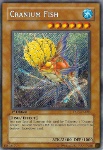Pesce Cranio