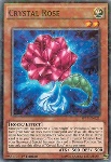 Rosa Di Cristallo