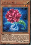 Rosa di Cristallo