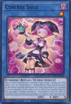 /products/ygo/cyb/cyberse-sage/cyberstorm-access-cyberse-sage-709300.jpg