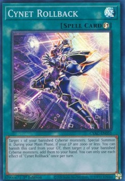 /products/ygo/cyn/cynet-rollback/cyberstorm-access-cynet-rollback-709312.jpg
