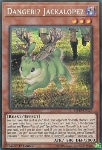 Pericolo!? Jackalope?
