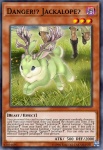 Pericolo!? Jackalope?