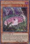 Pericolo!? Tsuchinoko?