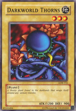 /products/ygo/dar/darkworld-thorns/legend-of-blue-eyes-white-dragon-darkworld-thorns-102874.jpg