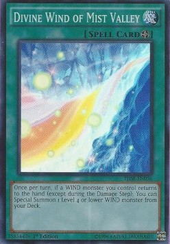 /products/ygo/div/divine-wind-of-mist-valley/the-secret-forces-divine-wind-of-mist-valley-272290.jpg