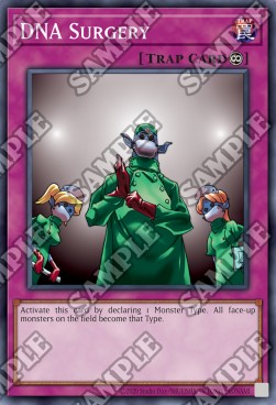 /products/ygo/dna/dna-surgery/pharaohs-servant-25th-anniversary-edition-dna-surgery-707178.jpg