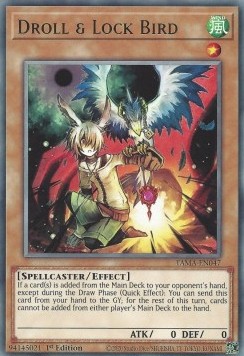 /products/ygo/dro/droll-lock-bird-v1-rare/tactical-masters-droll-lock-bird-v1-rare-670779.jpg