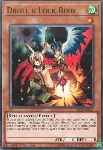 Droll & Uccello Serratura