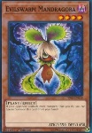 Mandragora Brancomalvagio