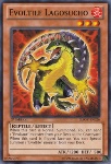 Evoltile Lagosucho