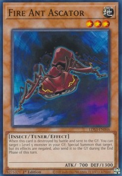 /products/ygo/fir/fire-ant-ascator/legendary-duelists-season-3-fire-ant-ascator-667708.jpg