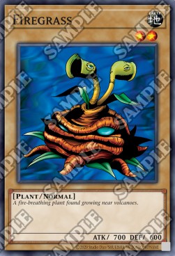 /products/ygo/fir/firegrass/legend-of-blue-eyes-white-dragon-25th-anniversary-edition-firegrass-706707.jpg