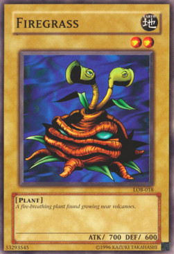 /products/ygo/fir/firegrass/legend-of-blue-eyes-white-dragon-firegrass-103392.jpg