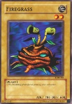 Erba di Fuoco