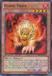 Tigre di Fuoco