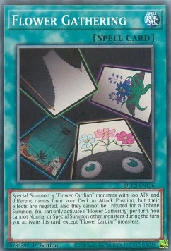 /products/ygo/flo/flower-gathering/dragons-of-legend-the-complete-series-flower-gathering-494404.jpg