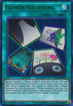/products/ygo/flo/flower-gathering/dragons-of-legend-unleashed-flower-gathering-291700.jpg