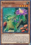Dinofiore