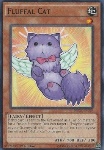 Gatto Fluffal